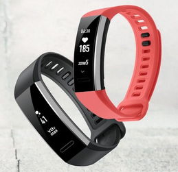 華為發布Band 2與Band 2 Pro智能手環 VO2 max與TruSleep自動睡眠跟蹤引領健康監測新體驗